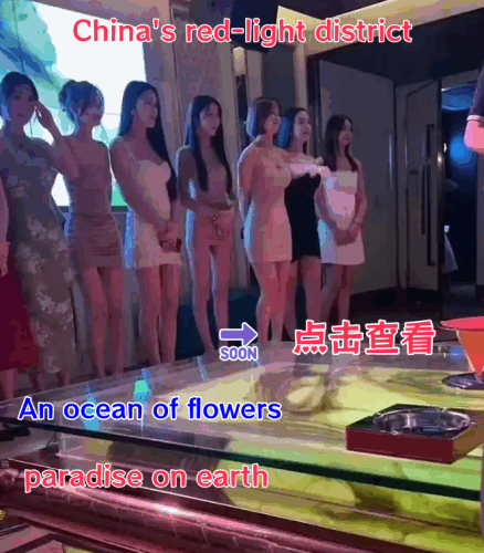 555.gif